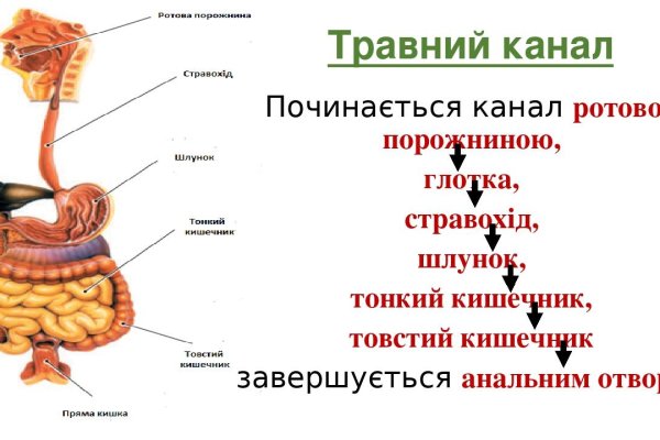 Почему в кракене пользователь не найден